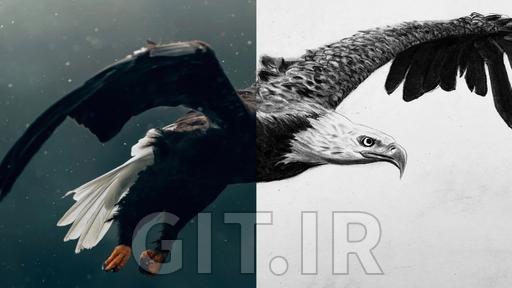 Unleash Your Charcoal Drawing Potential Part I | How to Draw a Bald Eagle