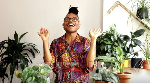 Plants at Home: Uplift Your Spirit & Your Space