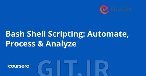 Bash Shell Scripting: Automate, Process & Analyze