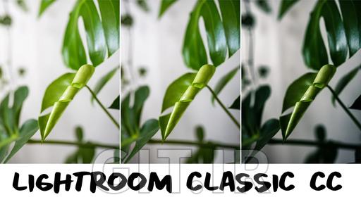 Photo Editing in Adobe Photoshop Lightroom: A Beginner's Guide