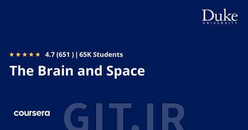 The Brain and Space