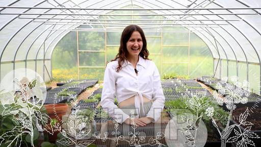 Gardening 101: A Guide For Growing & Caring For Plants