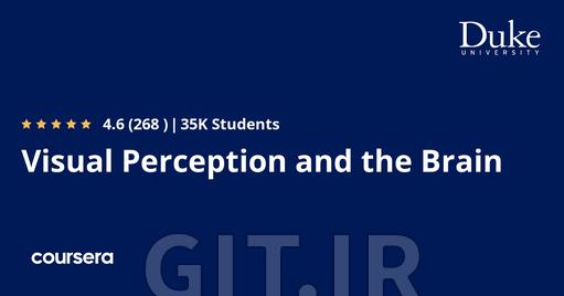 Visual Perception and the Brain