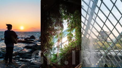 A Fast & Efficient Workflow for Stunning Photos with Adobe Lightroom Classic