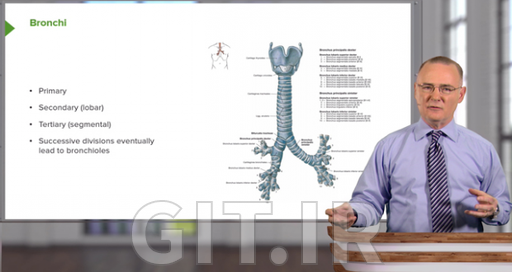 Abdominal Wall with Dr. Canby