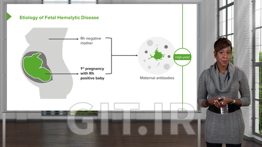 Antenatal Care