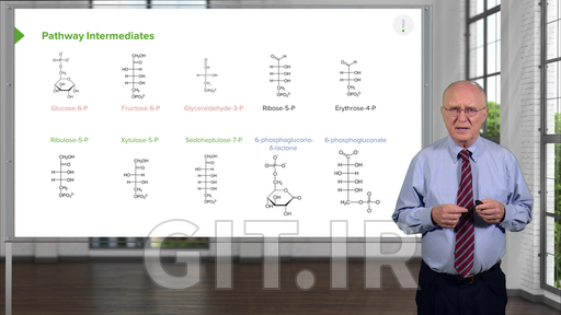 Carbohydrate Metabolism