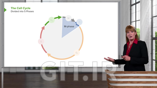 Cell Cycle and Cell Division