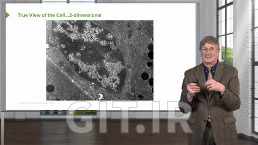Cellular Housekeeping Functions