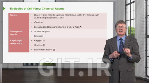 Cellular Injury