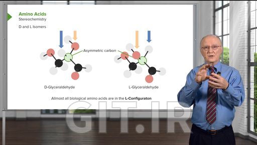 Enzymes and Enzyme Kinetics