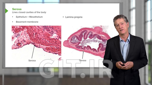 Epithelial Tissue