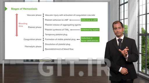 Hemostasis: Basic Principles with Carlo Raj