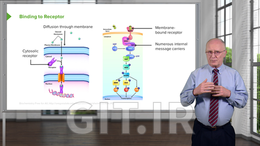 Hormones and Signal Transduction
