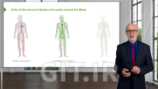 Immune System: Overview and Cells