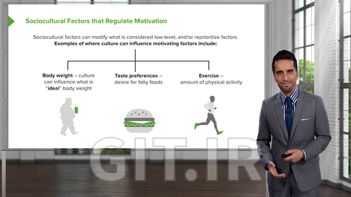 Individual Influences on Behavior