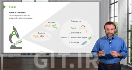 Microbiology: Introduction