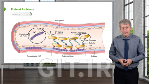 Pediatric Hematology