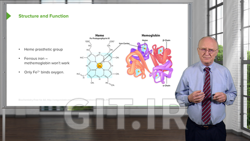 Purine and Pyrimidine Metabolism
