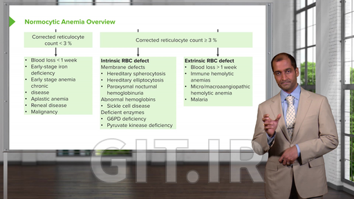 Quantitative White Blood Cell Disorders – White Blood Cell Pathology (WBC)