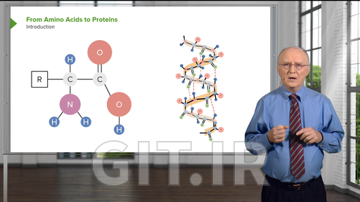 RNA and the Genetic Code