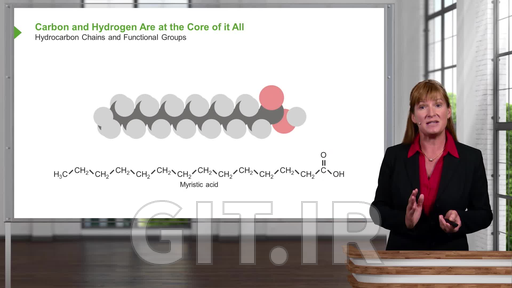 The Macromolecules of Life