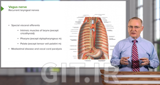 Thoracic Viscera with Dr. Canby