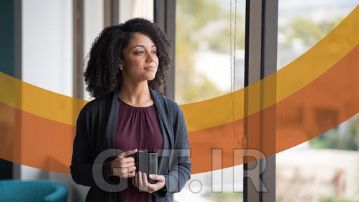 Leadership Mindsets