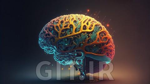 Boost Your IQ with the Help of a Certified Mensa Member