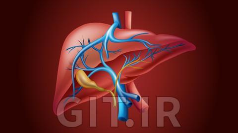 A Complete Course on Liver disease