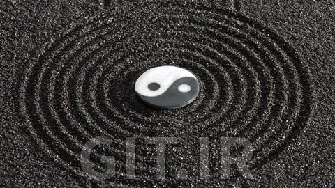 Advanced Level Acupressure - Organs and Viscera in TCM