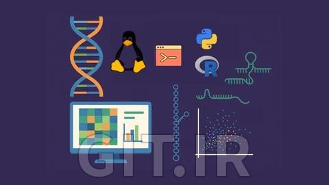 Advanced Transcriptomics: lncRNA, miRNA & Psi-Seq Analysis