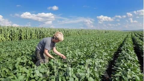 Agriculture competitive exam preparation