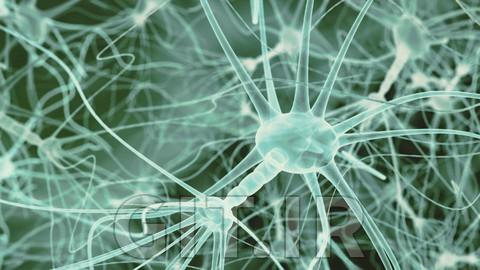 An Introduction to the Endocannabinoid System