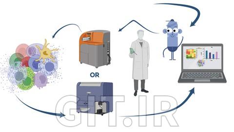Analyse flow and mass cytometry data with R