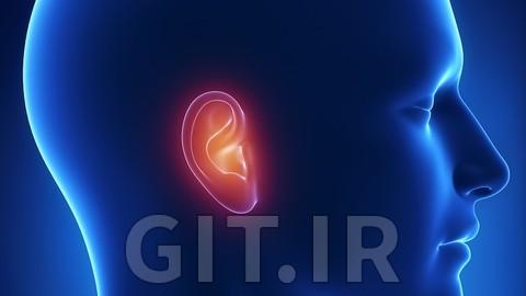 Auricular massage therapy