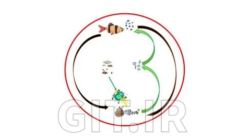 Biofloc Aquaculture System- Basic