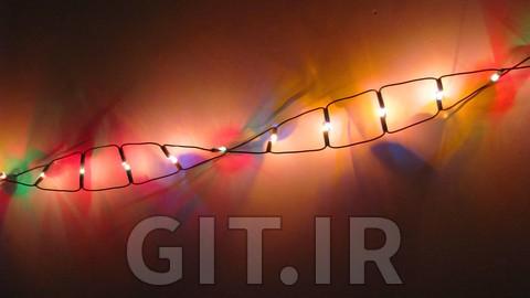 Bioinformatics: RNA-Seq/Differential expression in Bash & R!