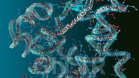 Mastering Amino Acids: Building Proteins for Biochemistry