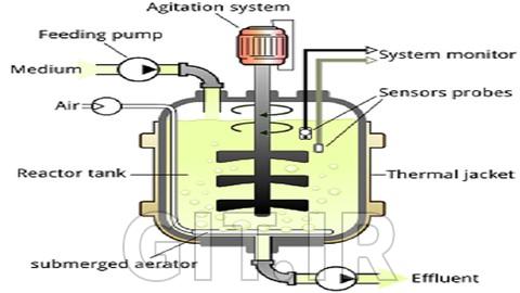 Essentials of Bioprocess Engineering