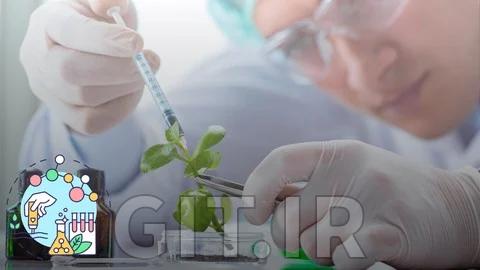 Biotechnology and Molecular Life Sciences for Success