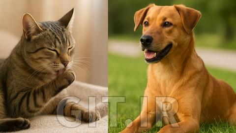 Caring for Cats and Dogs