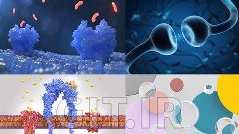 Cell Signaling; Communication at the Molecular level
