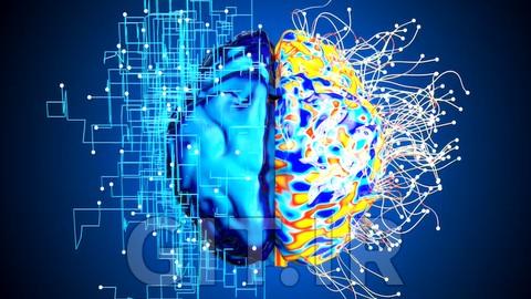 Certified NLP Practitioner