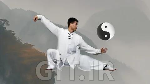 Chen Tai Chi for Beginners，Kung Fu Energy for Body and Mind