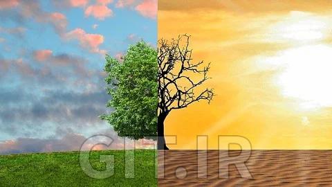 Climate Change Risk Management