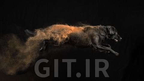 Color Cloud ℠ Photography For Pets