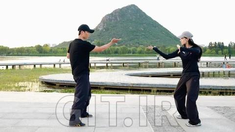 Combat-Ready Tai Chi Series--Nine-Cycle Jin-Physics®