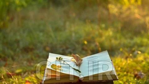 Create Your Own Poetry Anthology