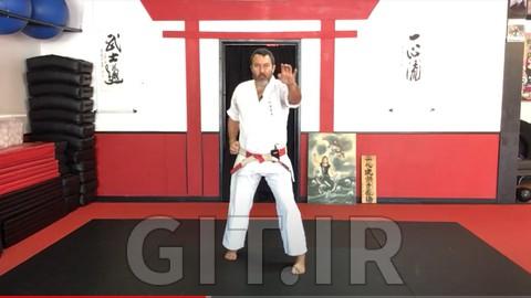 Dissect the Dissection of Isshinryu Karate: Wansu Kata